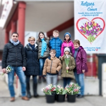 Vente de Tulipes